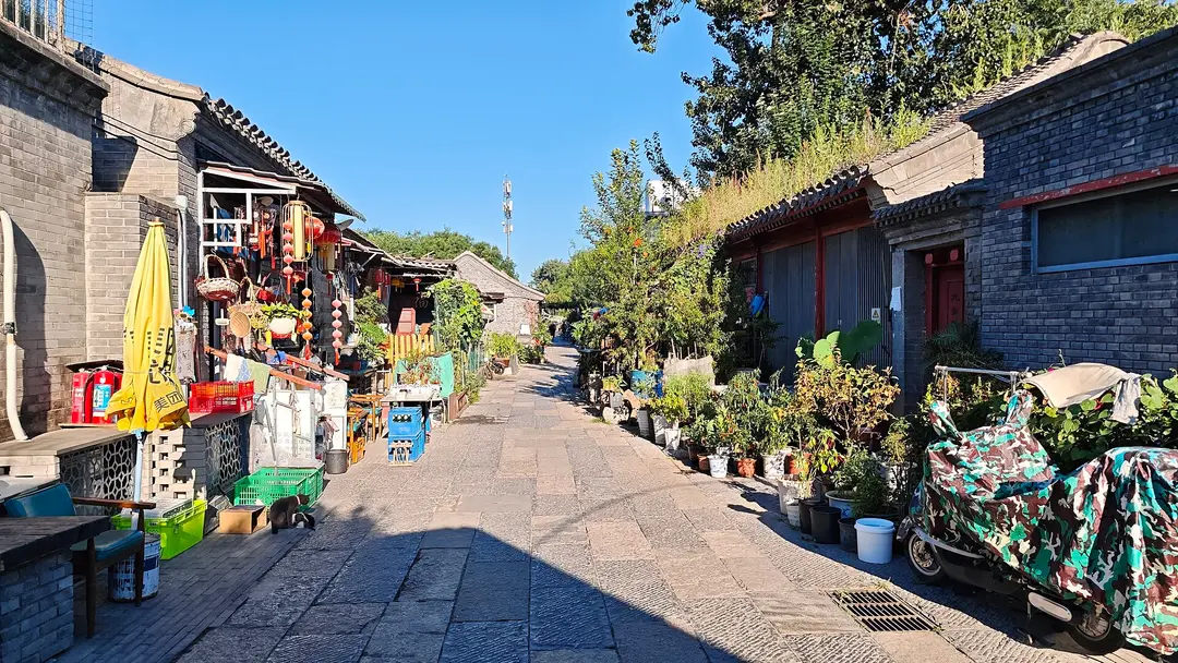 A sunny hutong lane lined with grey brick houses, potted plants and parked scooters